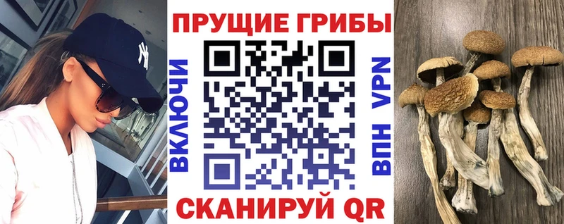 Псилоцибиновые грибы Magic Shrooms  Дрезна 